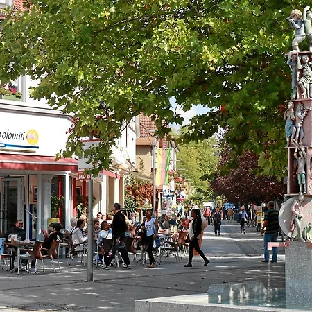Ξενοδοχείο Danner Rheinfelden (Baden)